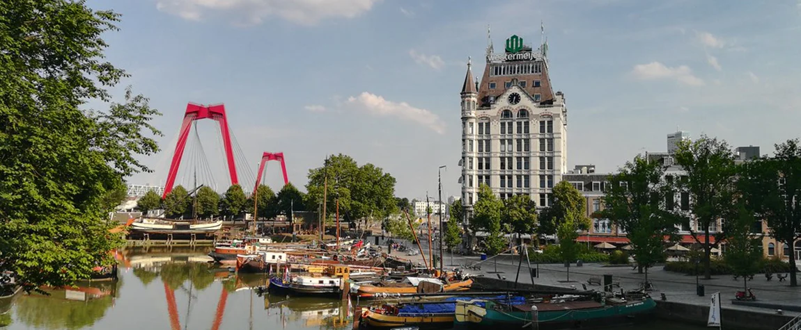 The Best Things to do at Rotterdam Zoo in Netherlands