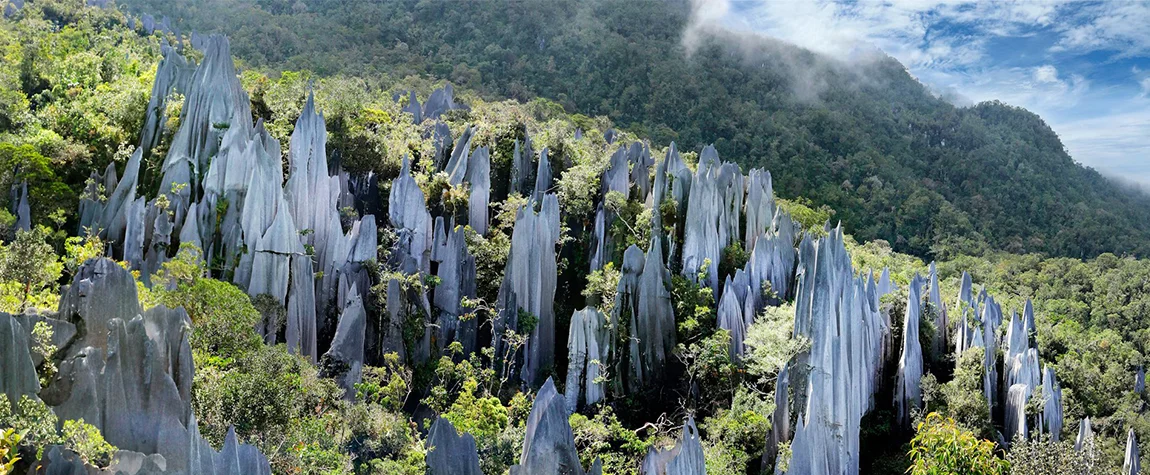 The 5 Amazing National Parks to Visit in Malaysia