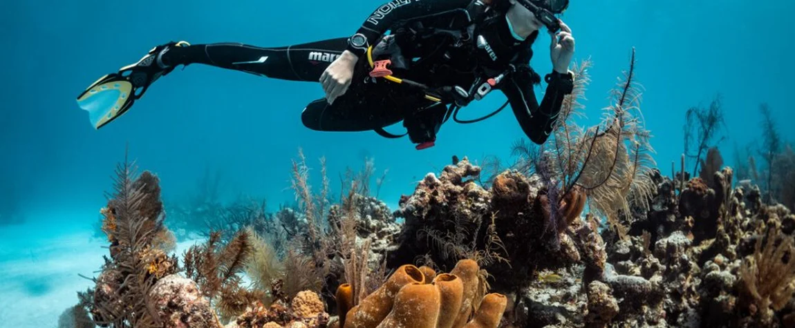 6 Best Places for Scuba diving in Andaman For Thrill Seekers