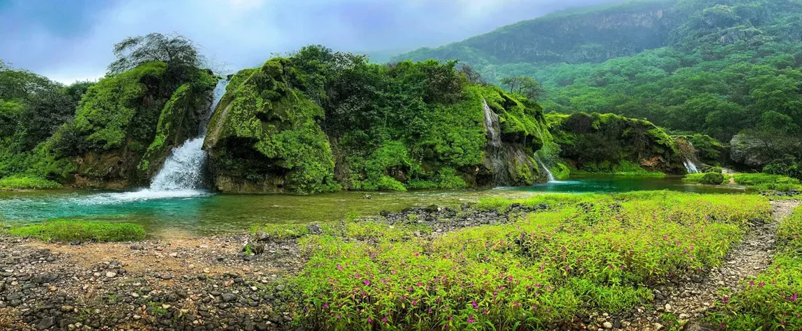 Places to Visit in Salalah