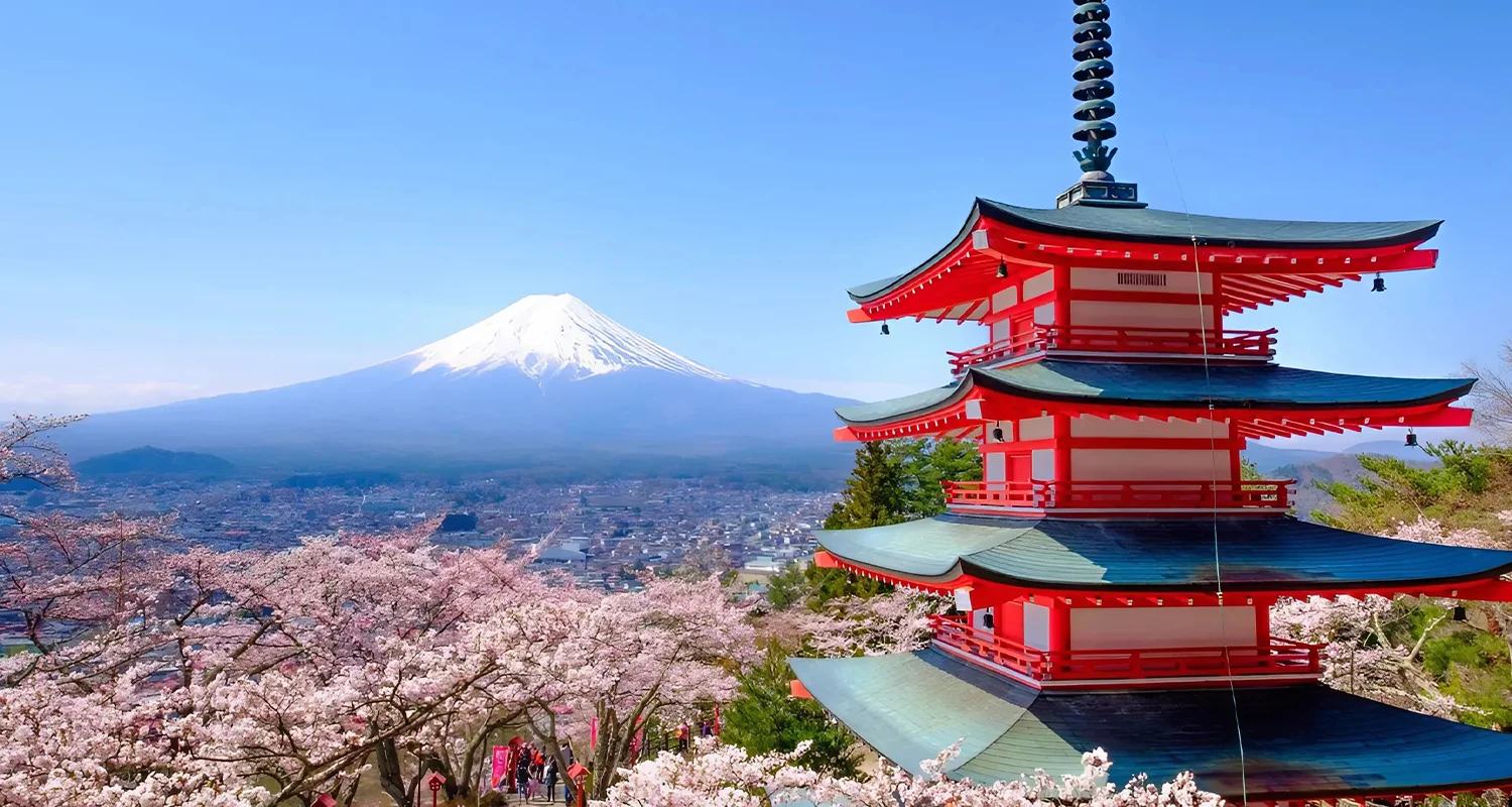 japan cherry blossom tour packages from india