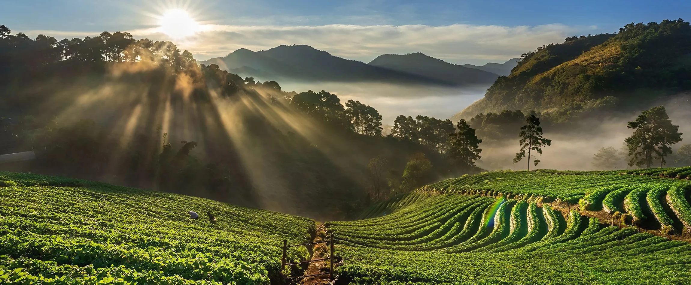 Top Hill Stations to Visit in South India During the Monsoon